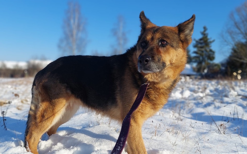 Zbiórka Operacja dla Sky - zdjęcie główne