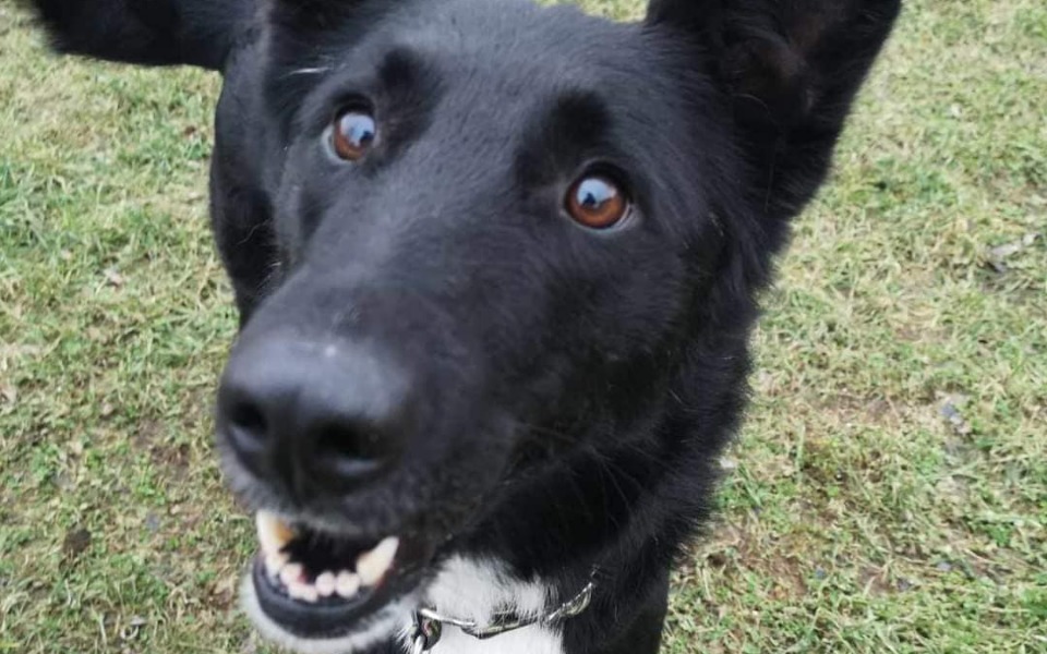 
        Zbiórka Dalszy pobyt Domino w hoteliku - zdjęcie główne
    