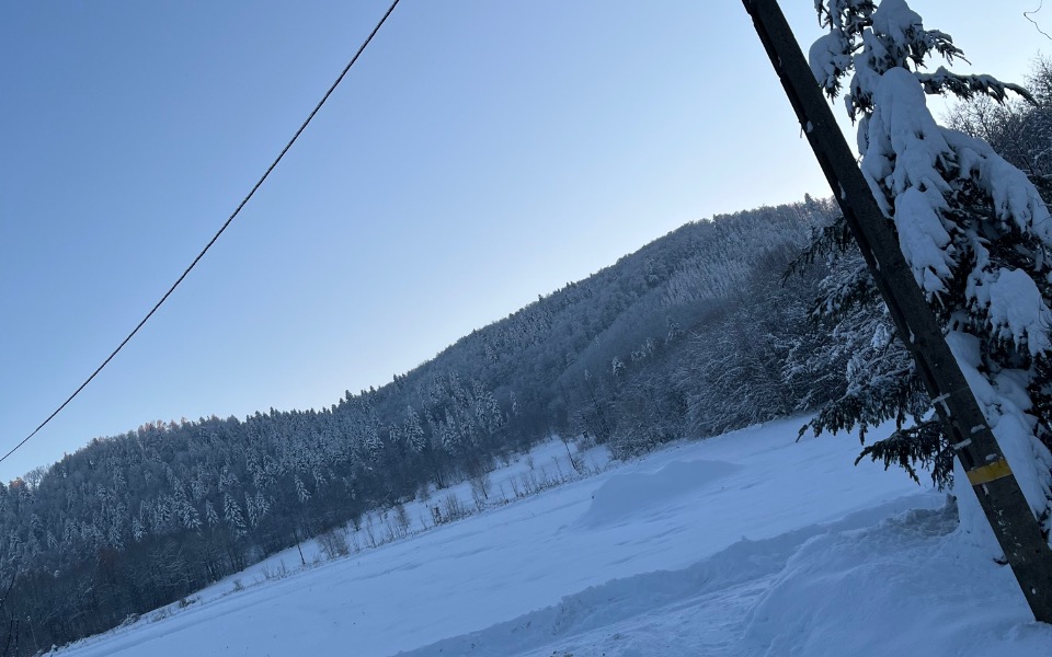 
        Zbiórka Na Lepszy Samochód - zdjęcie główne
    