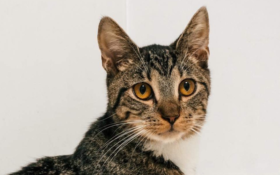 
        Zbiórka Teo umiera, ile warte jest życie - zdjęcie główne
    