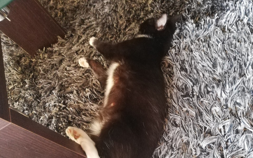 
        Zbiórka Prośba o mała pomoc - zdjęcie główne
    