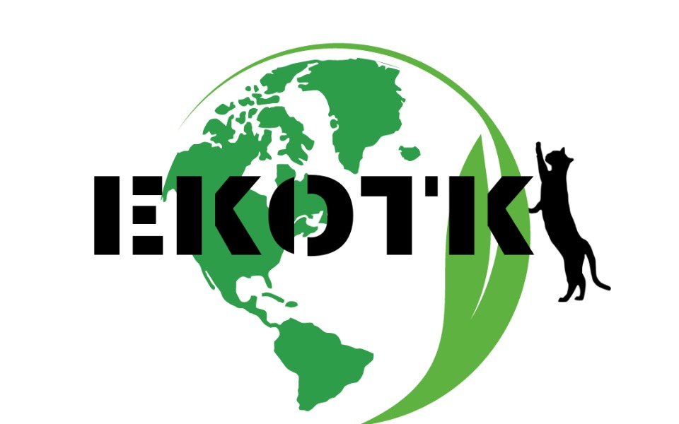 Zbiórka Zwierzęta ze schroniska Fauna - zdjęcie główne