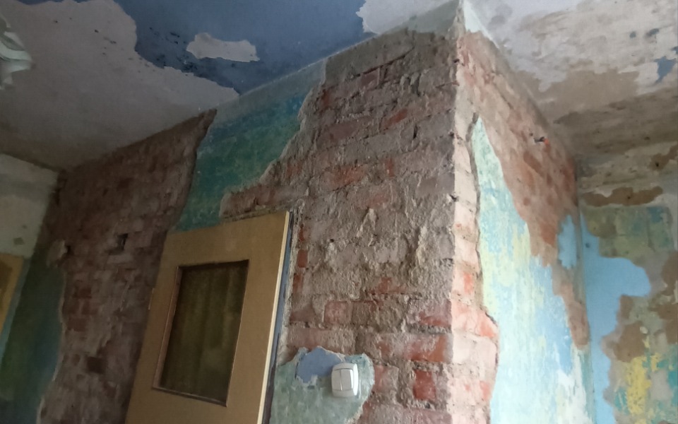 
        Pies w kołnierzu ochronnym, wygląda na zmartwionego.
    