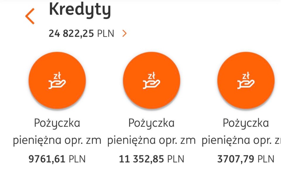 
        Zbiórka Zbiórka na wyjście na prostą - zdjęcie główne
    