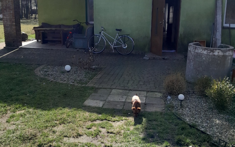 
        Zbiórka Pomóc w spłacie domu - zdjęcie główne
    