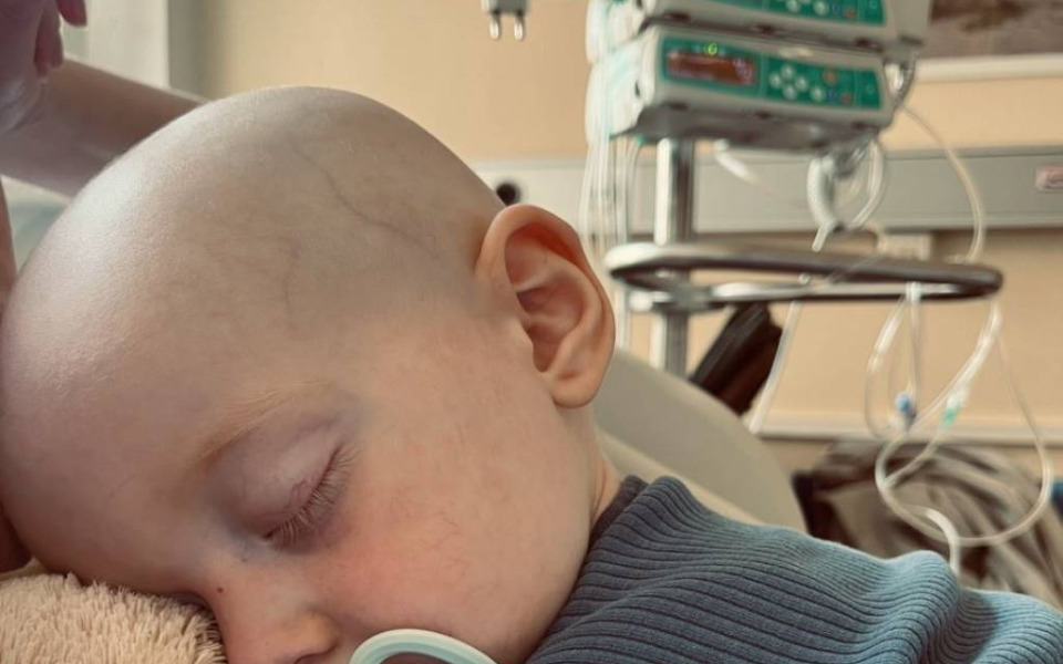 
        Zbiórka Adas musi żyć prosze pomóżcie - zdjęcie główne
    