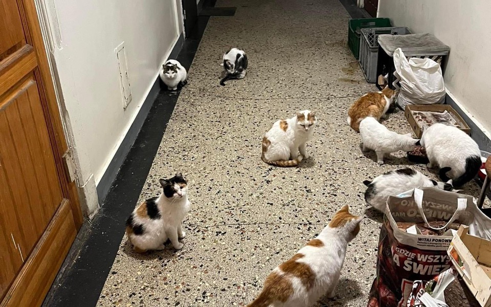 
        Zbiórka JESZCZE nie jest ZA PÓŹNO - zdjęcie główne
    