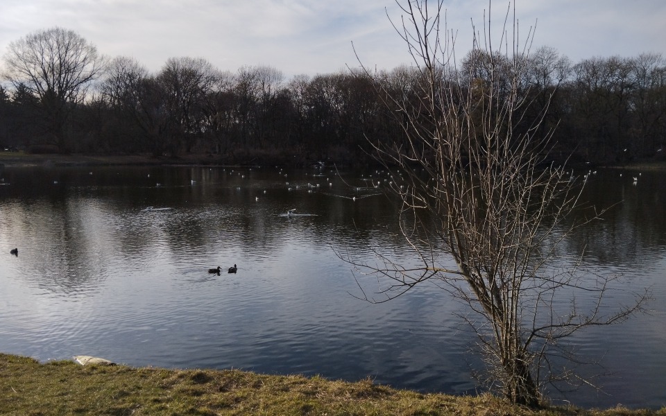 
        Zbiórka Studia - ostatnia prosta - zdjęcie główne
    