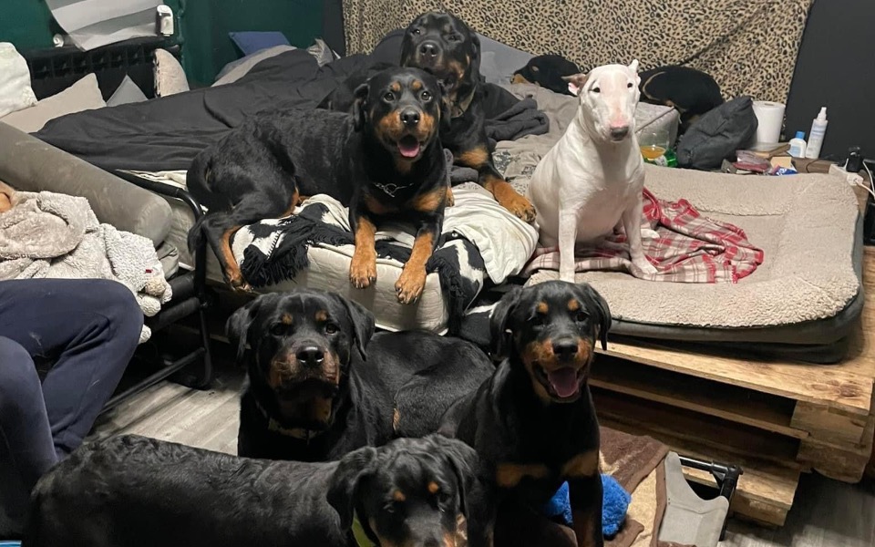 
        Zbiórka Pomoc dla SEIP domu tymczasowego - zdjęcie główne
    