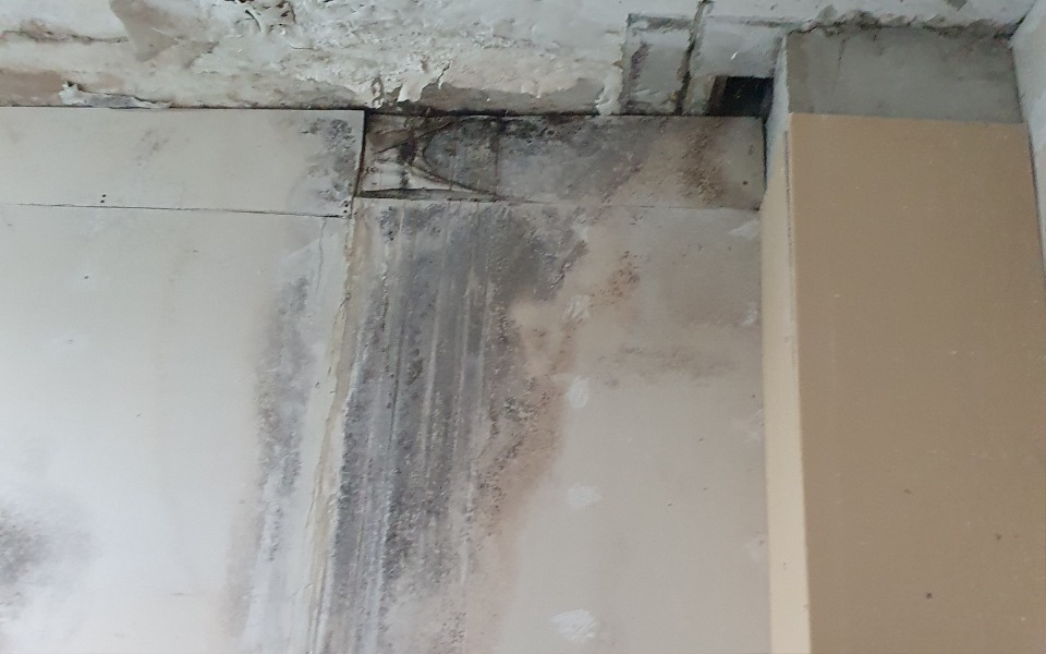 
        Zbiórka Daj papę na papę - zdjęcie główne
    