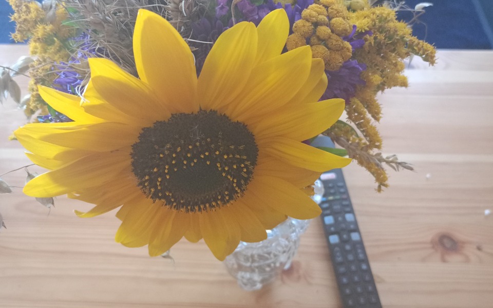 
        Zbiórka Mleko Pampersy lepsze święta - zdjęcie główne
    