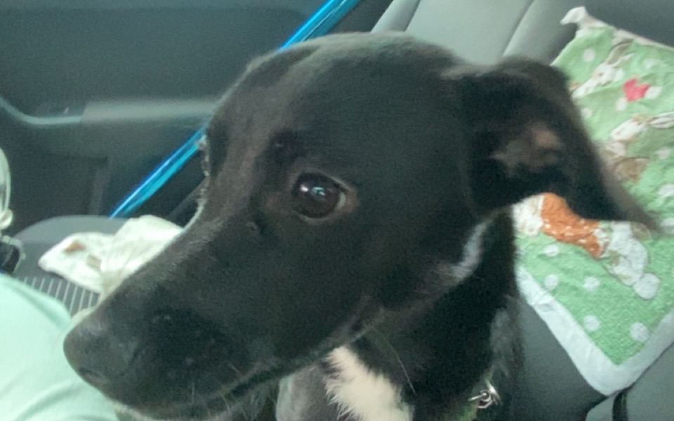 
        Zbiórka Leczenie i Operacja Ateny - zdjęcie główne
    