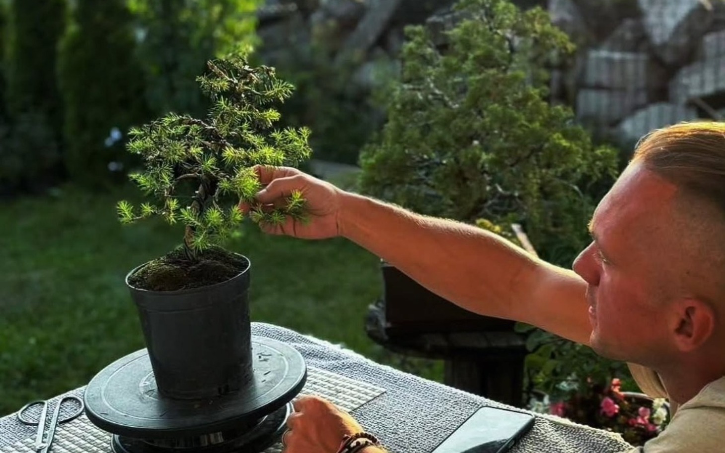 
        Mężczyzna pielęgnujący bonsai w ogrodzie, z zielonymi drzewkami w tle.
    