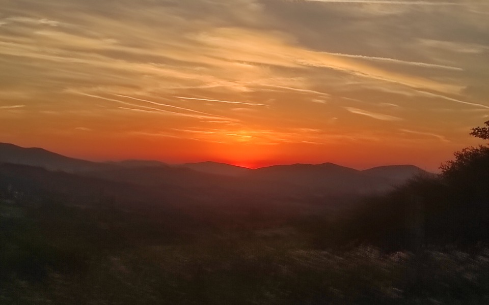 
        Zbiórka Neuroforma - zdjęcie główne
    