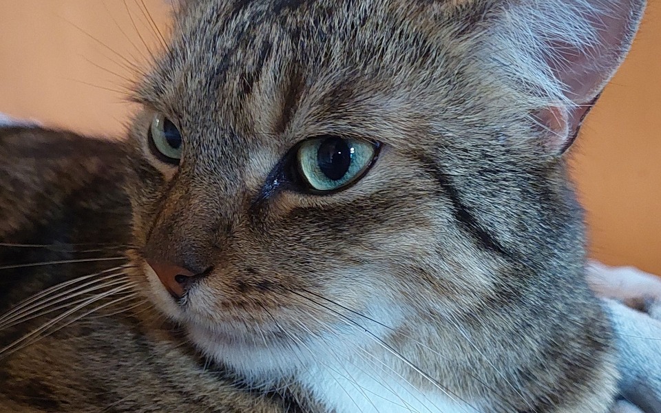 
        Zbiórka Leczenie Prążka - zdjęcie główne
    