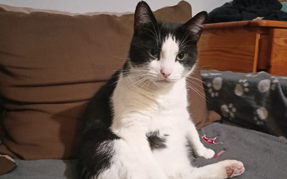 
        Zbiórka Na nerkowce - zdjęcie główne
    