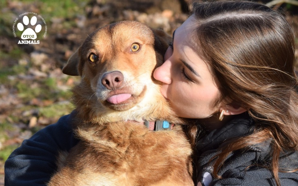 
        Zbiórka JYSK dla OTOZ Bojano - zdjęcie główne
    