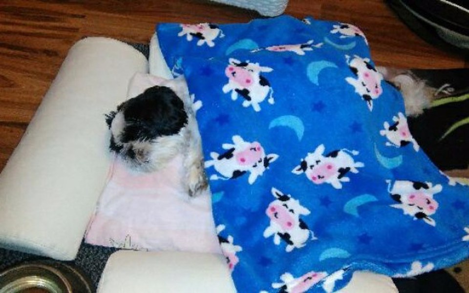 
        Zbiórka Operacja strzaskanej miednicy - zdjęcie główne
    