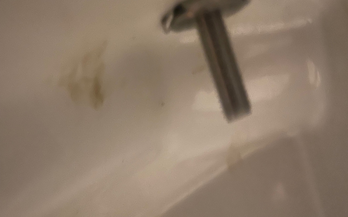 
        Kotek przytula się do maty, w kolorowej domestypiece.
    