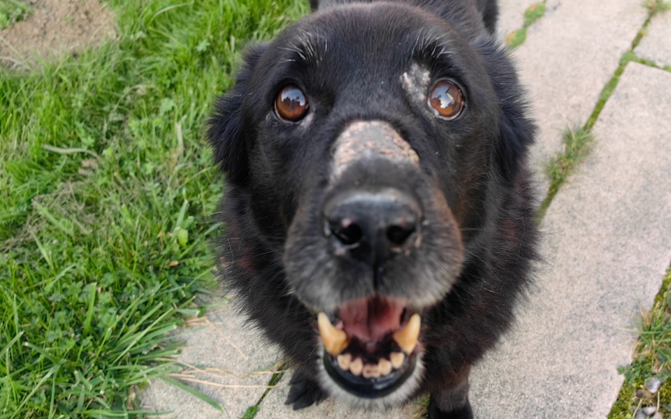 
        Zbiórka Na walkę z rakiem i opiekę Tiny - zdjęcie główne
    