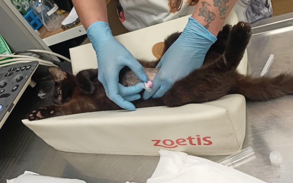 
        Zbiórka Walka o życie malutkiej Matyldy - zdjęcie główne
    