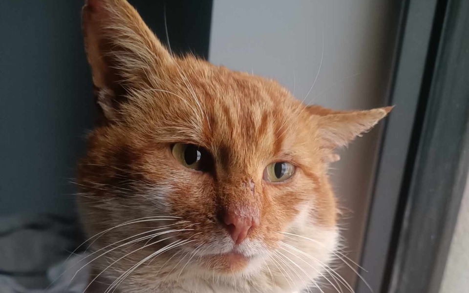 
        Zbiórka Rudziu - zdjęcie główne
    