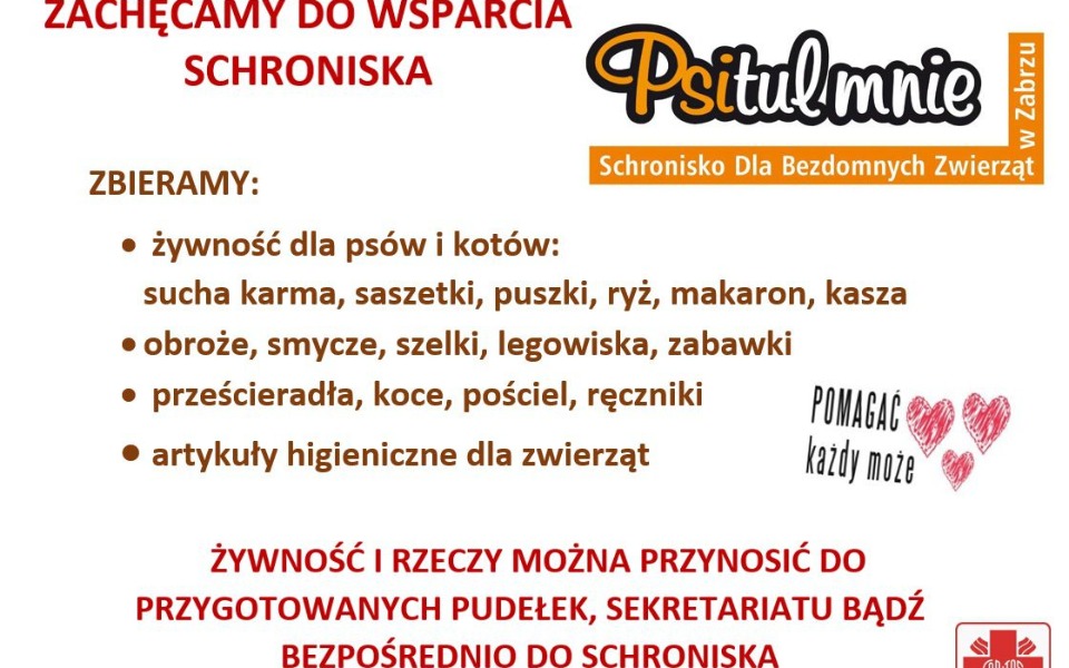 
        Zbiórka Zbieram na pieski z Zabrza - zdjęcie główne
    