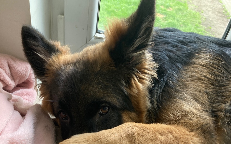 
        Zbiórka Zbiórka na operację Hadesa - zdjęcie główne
    