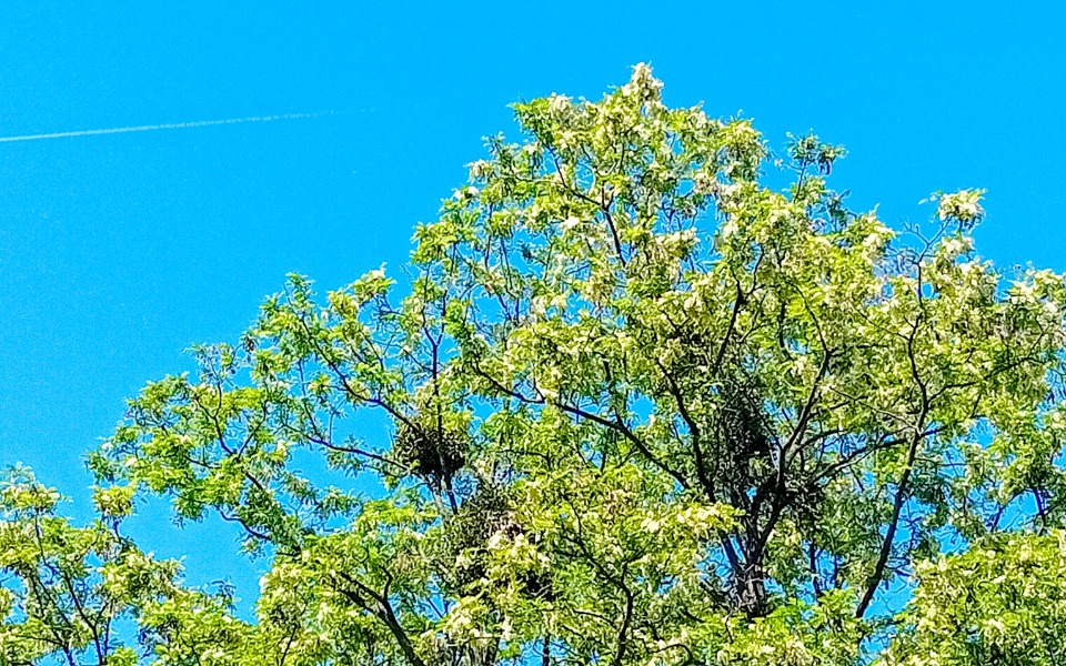 
        Zbiórka Na kartę rybacką dla taty - zdjęcie główne
    
