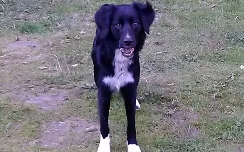 
        Zbiórka mój Markos jest chory - zdjęcie główne
    