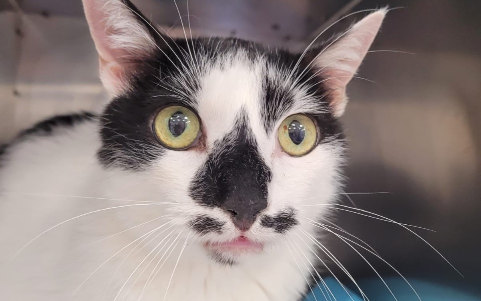 
        Zbiórka Faktury, utrzymanie brak środków - zdjęcie główne
    