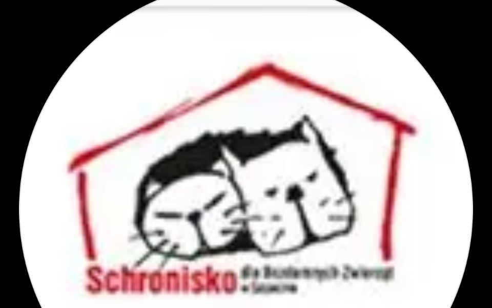 
        Zbiórka Karmadlazwierzakówszczecin - zdjęcie główne
    