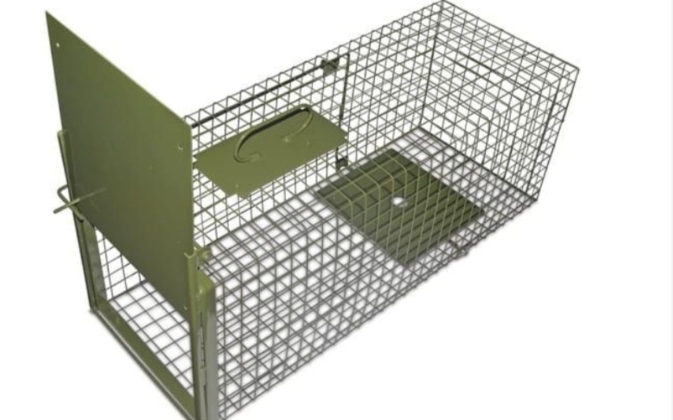 
        Zbiórka Zbiórka na klatki żywołapki - zdjęcie główne
    