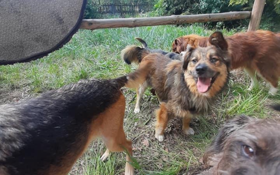 Zbiórka Pomoc dla Karli Dąbrowskiej - zdjęcie główne