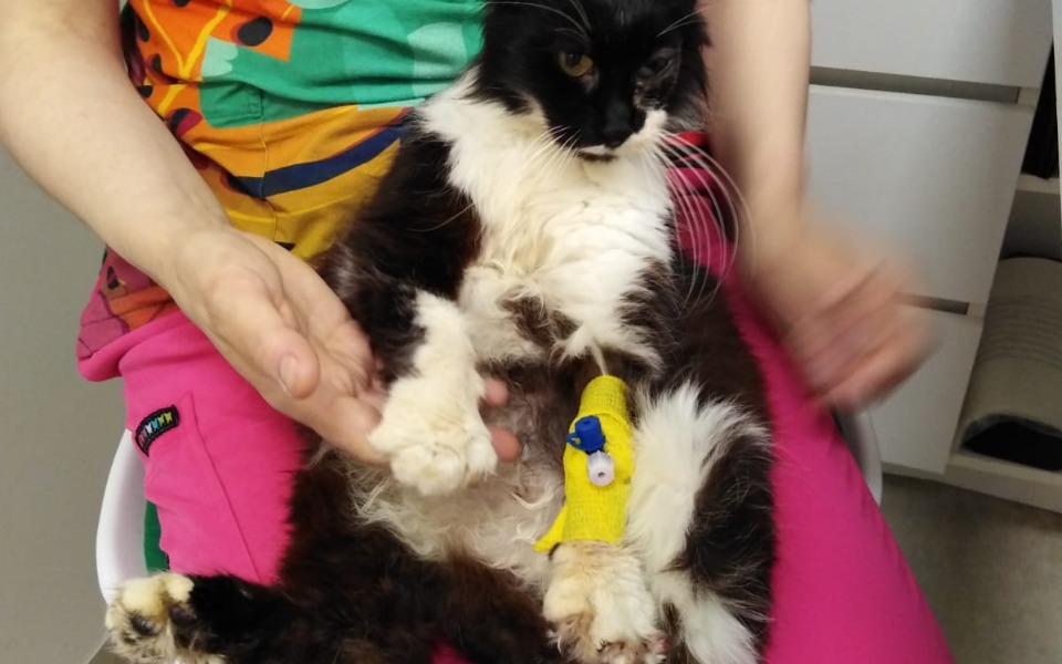 
        Zbiórka Proszę o życie .Pomóż mi . - zdjęcie główne
    