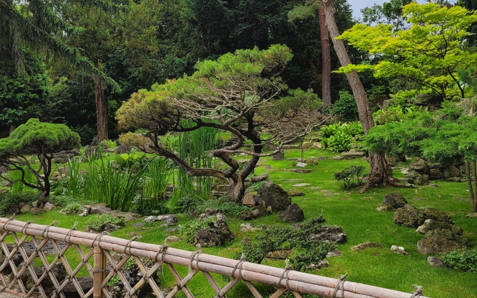 
        Zbiórka Wesprzyj moje marzenia - zdjęcie główne
    