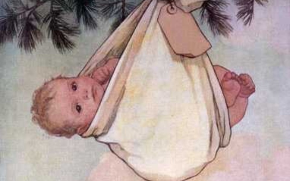 
        Zbiórka Dla naszej - zdjęcie główne
    