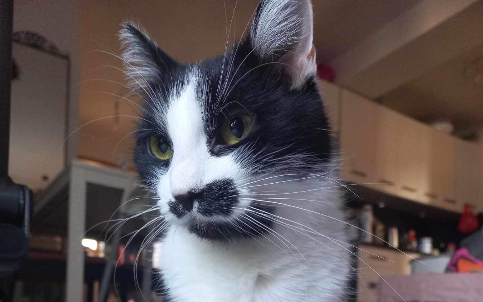 
        Zbiórka Kropcia- Walczymy o drugie życie - zdjęcie główne
    