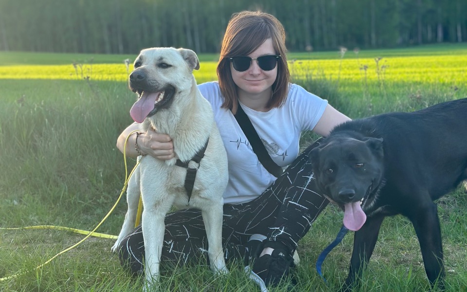 
        Zbiórka Napełnijmy Brzuszki Kudłatych - zdjęcie główne
    