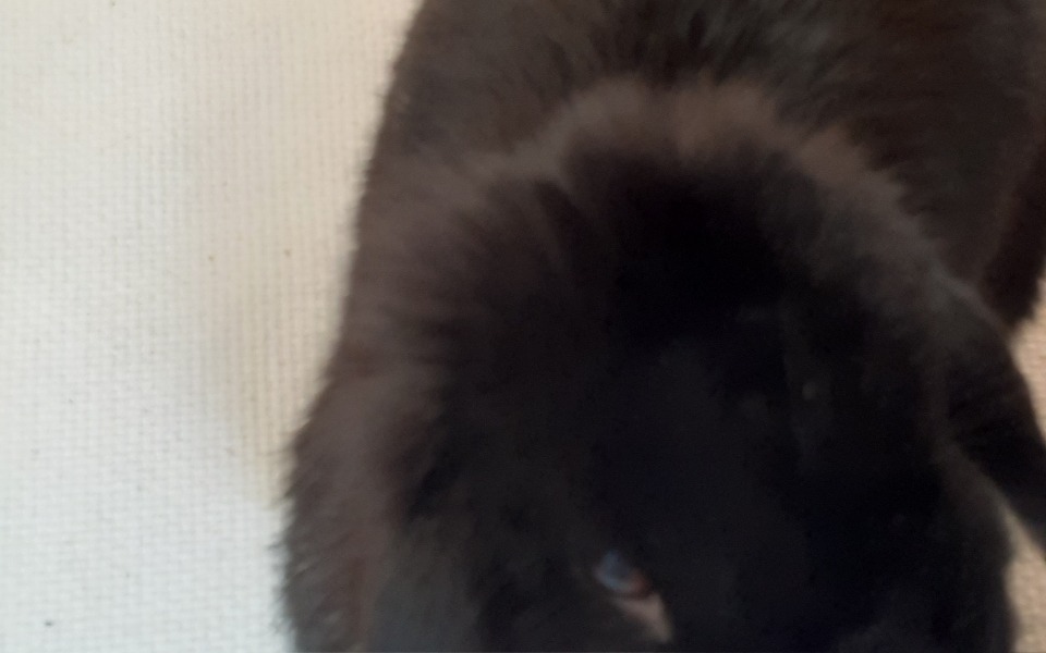 
        Zbiórka Dla Stefanka - zdjęcie główne
    