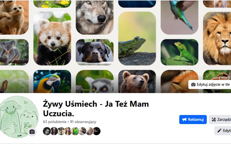 
        Zbiórka wsparcie zwierząt w Polsce - zdjęcie główne
    