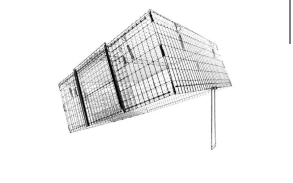 
        Zbiórka Na pomoc kotom-klatka DROP - zdjęcie główne
    