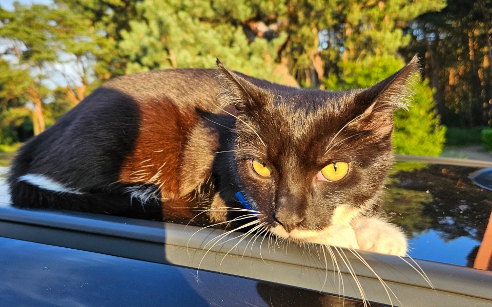 
        Zbiórka Chciałbym zmienić swoje zachowan - zdjęcie główne
    