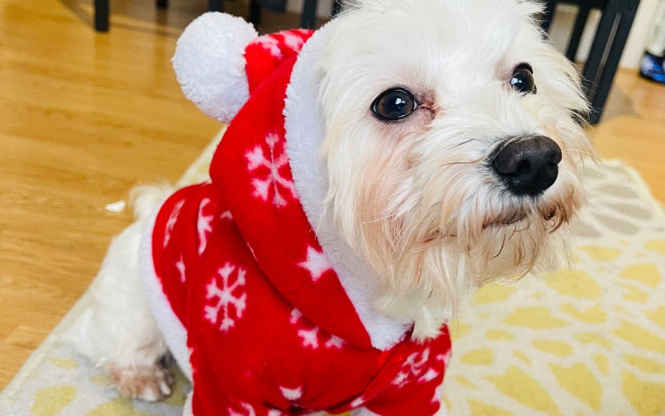 
        Zbiórka Operacja przepukliny kregoslupa - zdjęcie główne
    