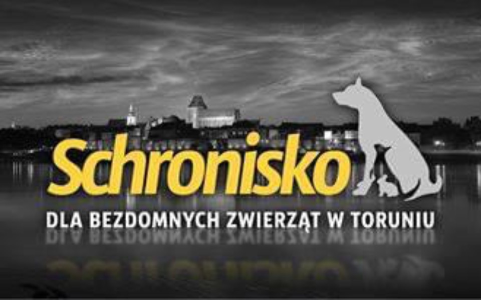
        Zbiórka Zbiórka dla schroniska Toruń - zdjęcie główne
    