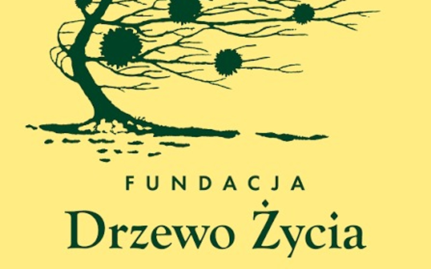 
        Logo Fundacji Drzewo Życia z drzewem na żółtym tle.
    