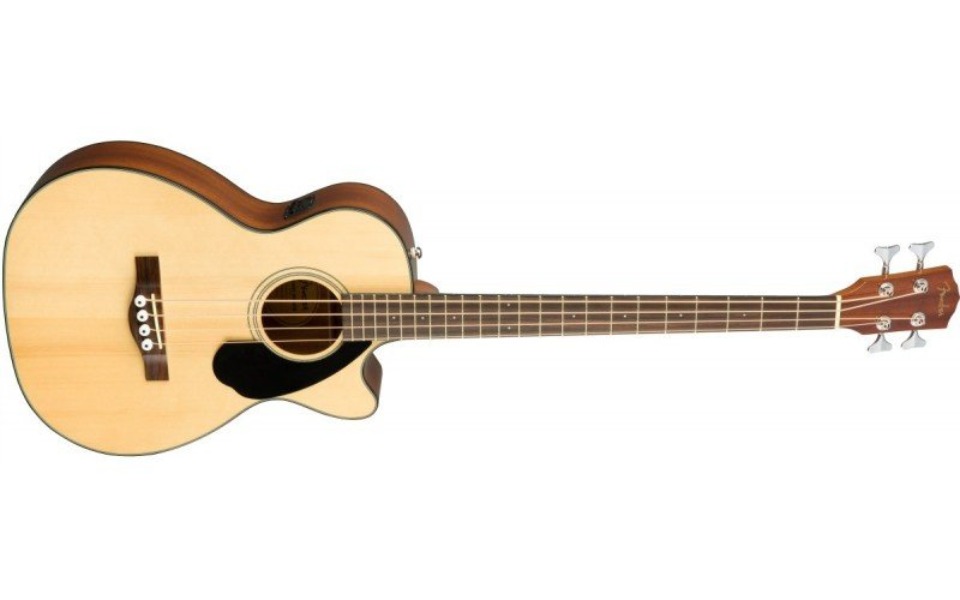 
        Zbiórka Urodzinowy bas akustyczny - zdjęcie główne
    