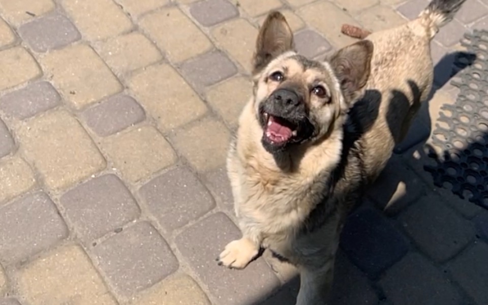 
        Zbiórka Walka o życie dla Rity - zdjęcie główne
    