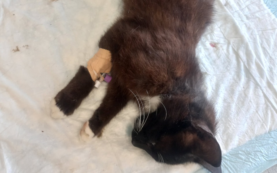 
        Zbiórka Przerwijmy miesiące cierpienia - zdjęcie główne
    