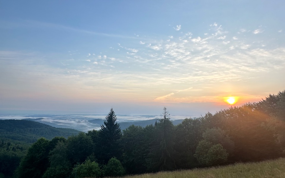 
        Zbiórka na umeblowanie mieszkaniapls - zdjęcie główne
    